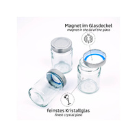 Zestaw pojemników z magnesem na przyprawy 192 ml Silwy przezroczyste